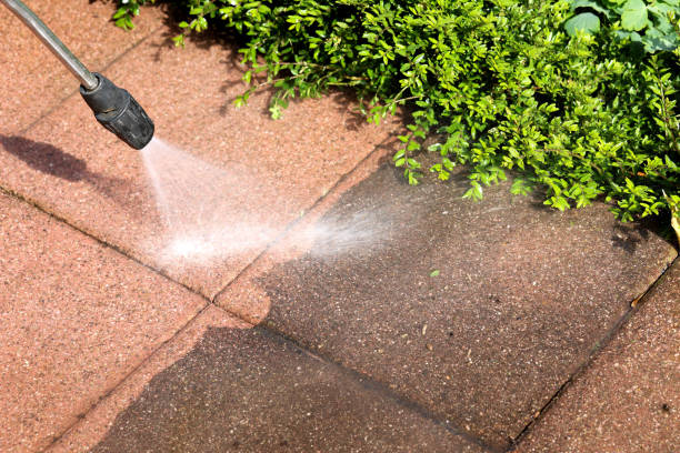 Best Pressure Washing Company Near Me  in Upper Sandusky, OH